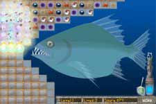 󰵽2(Big Kahuna Reef 2)
