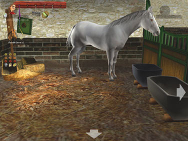 ҵСֲ(My Pony Club)ɫ